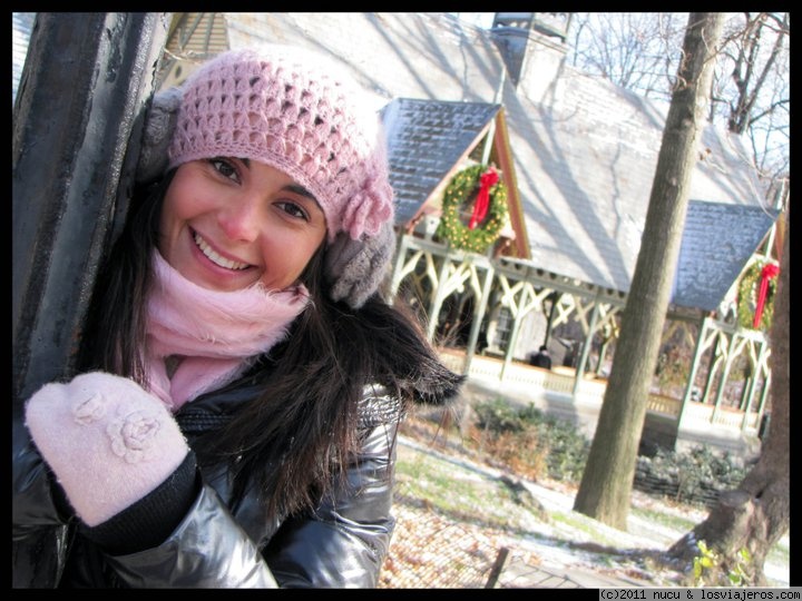 CENTRAL PARK NAVIDAD