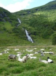 granja cerca de Flam