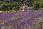 Abadía Notre-Dame de Sénanque, Provenza (Francia)