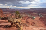 Dead Horse Point Overlook - Dead Horse Point State Park