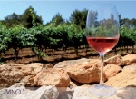 Vinos de Formentera - Islas Baleares