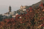 Labastida, Álava - Ruta del Vino Rioja Alavesa
