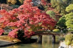 Jardín Rikugien - Tokio (Japón)