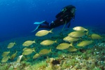Submarinismo en Formentera