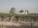 La carrera del vino