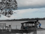 Recorriendo el Amazonas