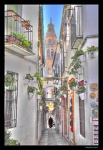 Calleja de la flores - Cordoba