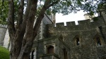 windsor