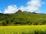 garrotxa