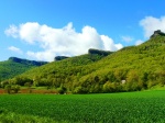 garrotxa