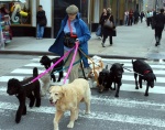 New York - 5th