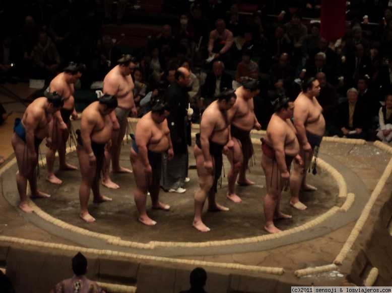 Sumo wrestlers