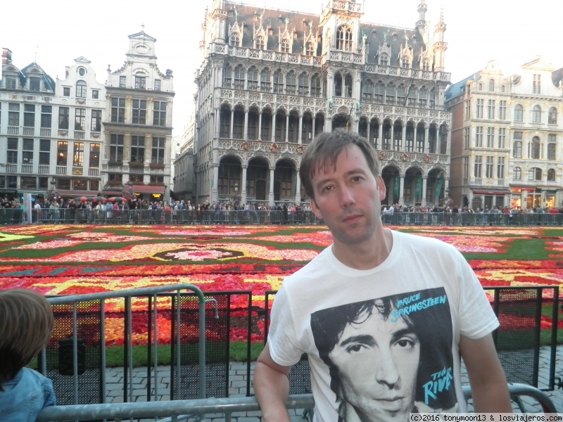 alfombra bruselas