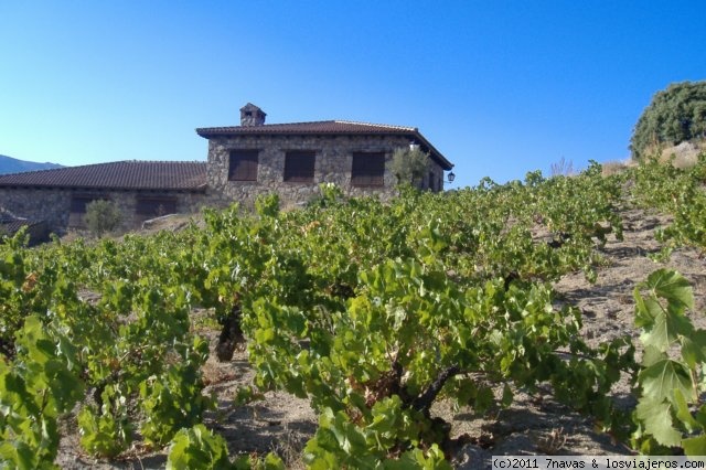Bodega Garnacha Alto Alberche