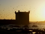 ESSAOUIRA AL ATARDECER