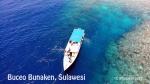 BUCEO EN LA ISLA DE BUNAKEN