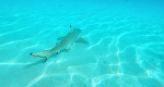 img-20230215-wa0087