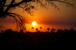Atardecer en el Okavango