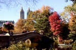 Bow Bridge-Central Park