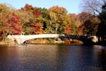 Central Park en otoño
