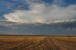 Storm on the Gobi desert