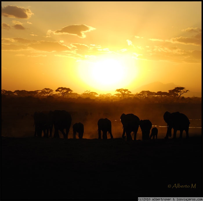 AMBOSELI