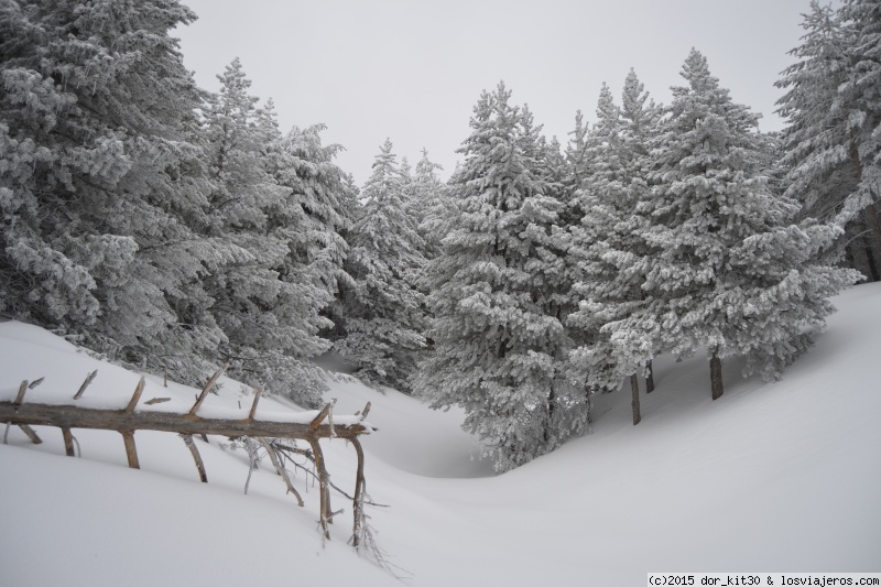 Nevada en Sierra Nevada(Granada)