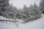 Nevada en Sierra Nevada(Granada)