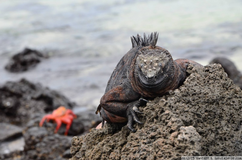 ¡PRONTO LAS GALAPAGOS EN GOOGLE STREET VIEW!