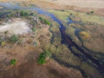 Delta del Okavango