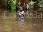 pigmeo bañandose en el rio Reserva de Djan