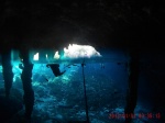 Gran Cenote, Riviera Maya