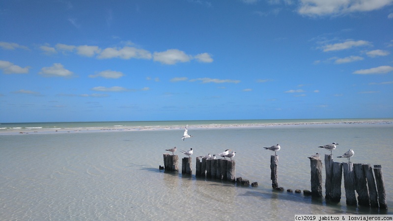 img_20190307_093533_389