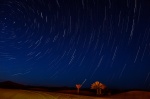 Estrellas en el Desierto