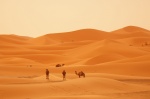 Erg Chebbi (Merzouga)