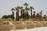Avenida de las esfinges frente al templo de Luxor