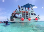barco maire