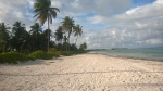 Playa Punta Cana