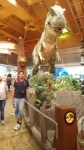 Tienda Toys R us
