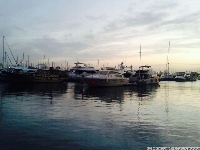 Puerto de Alicante
