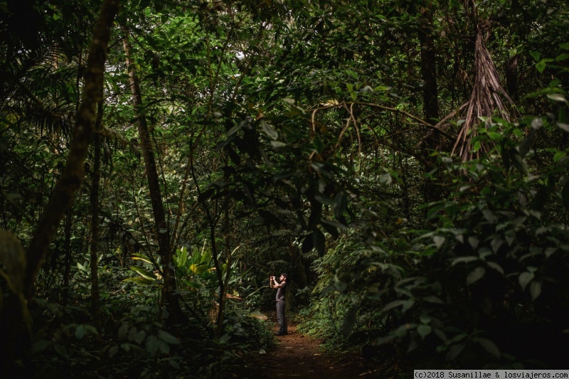 Entorno de La Fortuna