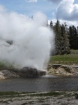 Riverside Geyser