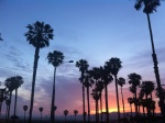 Venice beach