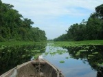 La Selva de los Espejos Iquitos/Peru