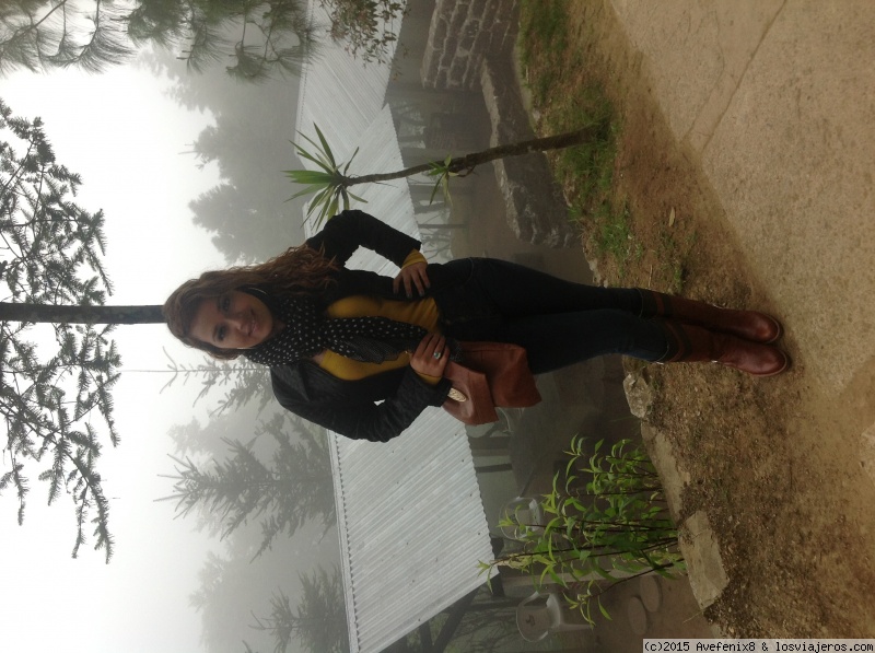 Xela frío exquisito