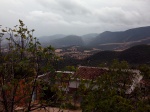 Solanilla del Tamaral
