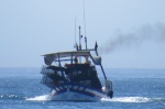 marinero de agua dulce
