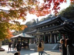 Templo Hase-dera (Japón Noviembre 2016)