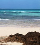 Zanzíbar, Tanzania.