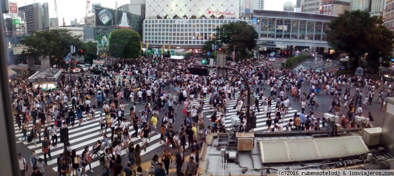 Shibuya